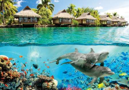 Hawaii Underwater World - For Wall